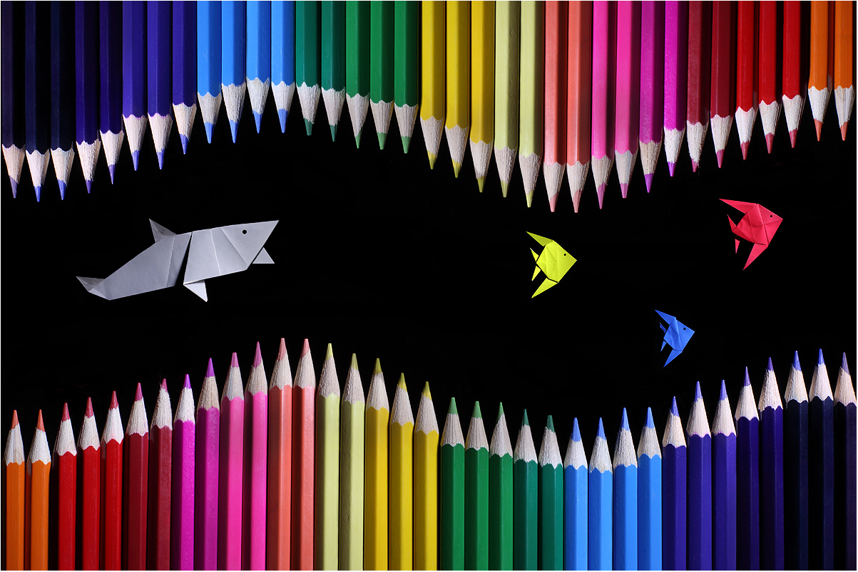 Инсталляции из цветных карандашей